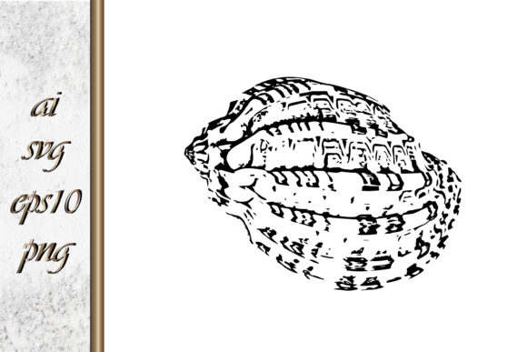 Download Doodle Shellfish Hand Drawn Sketch Vecto - Premium Resources