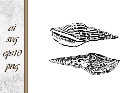 Download Doodle Shellfish Hand Drawn Sketch Vecto - Premium Resources