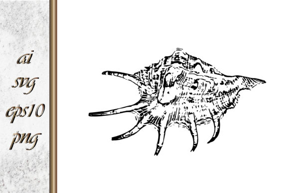 Download Doodle Shellfish Hand Drawn Sketch Vecto - Premium Bundle